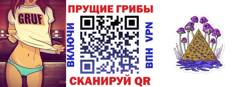 Псилоцибиновые грибы мухоморы  купить наркотики сайты  Ростов-на-Дону 